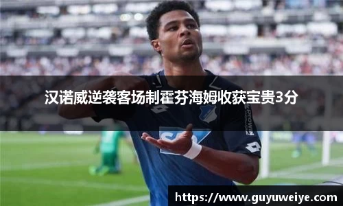 汉诺威逆袭客场制霍芬海姆收获宝贵3分